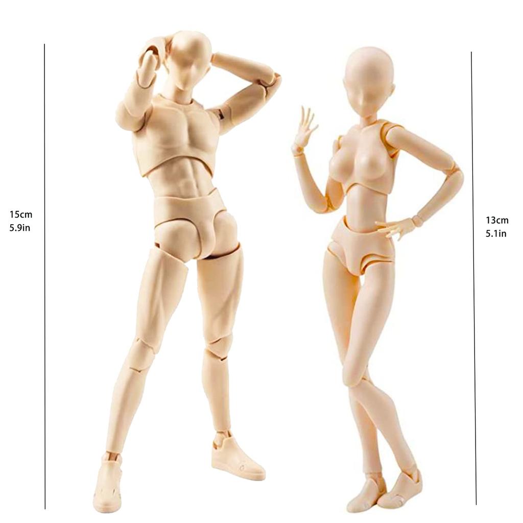 Gnallang Drawing Doll, Articulated, with Stand, Changeable Gestures, Cartoon Model, Muscular Body, Male and Female, Skin Color