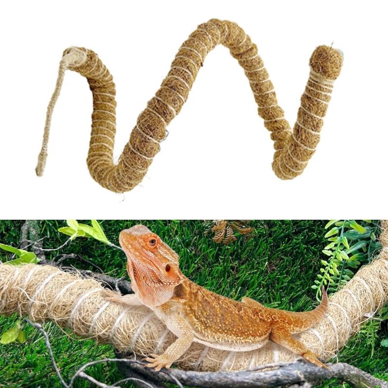 Reptilien Ranken Terrarien Dekorationen Biegsame Dschungel Kletterranke Flexible Kokosfasern Ranke für Amphibien Klettern Verstecke