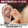 Felimoa Ear Pressure Point Model Massage Acupuncture Position Confirmation Easy To Understand Disorder Improvement Pressure Points