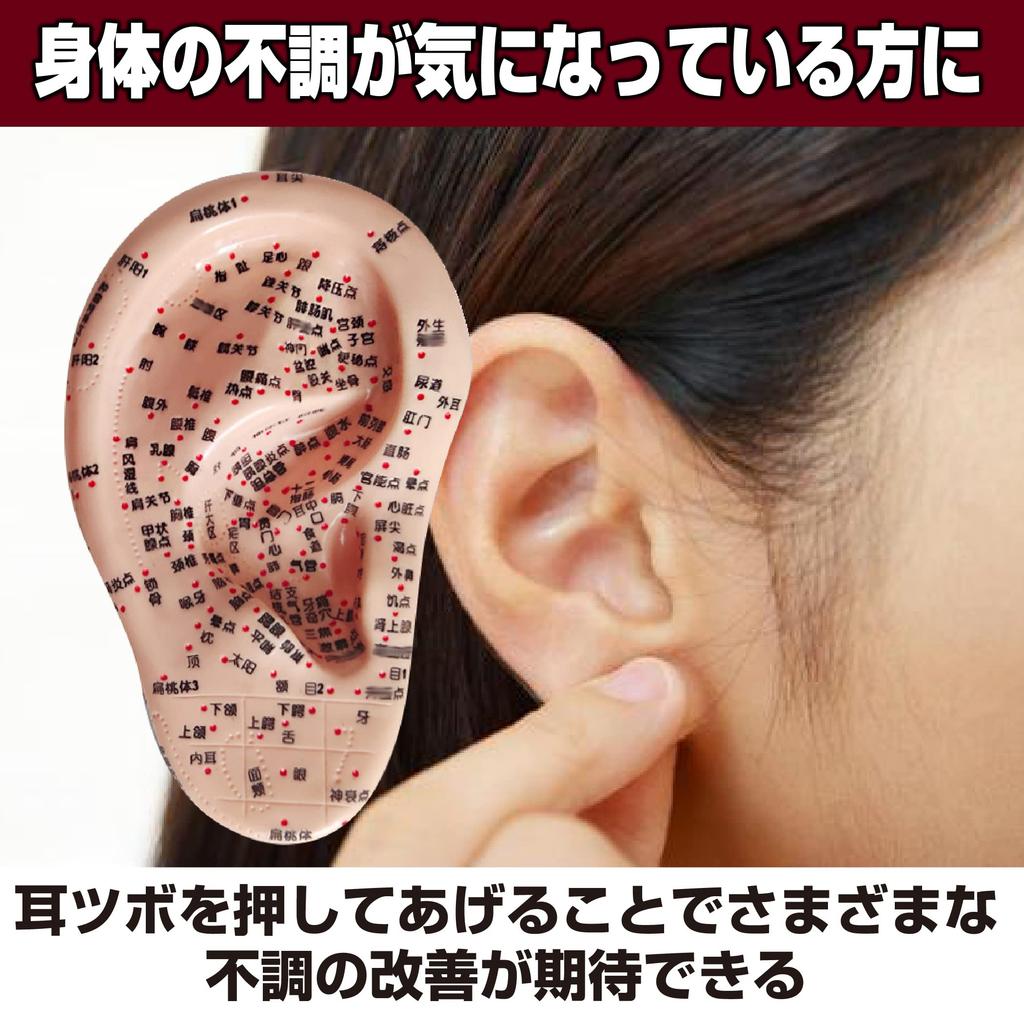 Felimoa Ear Pressure Point Model Massage Acupuncture Position Confirmation Easy To Understand Disorder Improvement Pressure Points