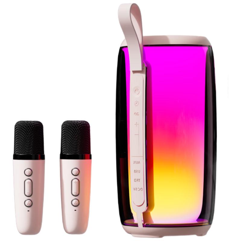 Newman M18 Wireless KTV Speaker with Dual Microphones