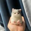 New Cute Chubby Cat Orange Soft Give Birthday Gifts To Girls and Kid Home Decor Ornaments Cats Bedroom Living Room Miniatures
