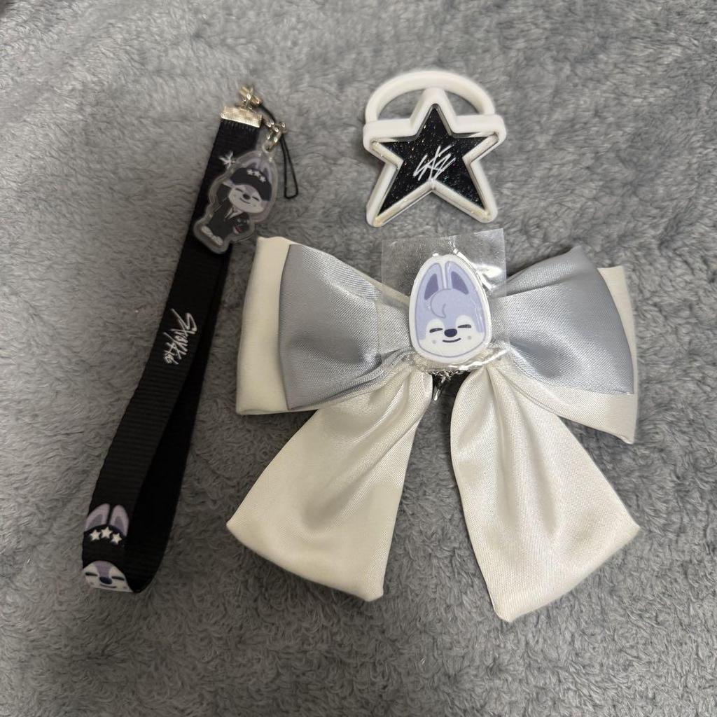 [USED] Stray Kids Bang Chan Wolf Chan penlight goods