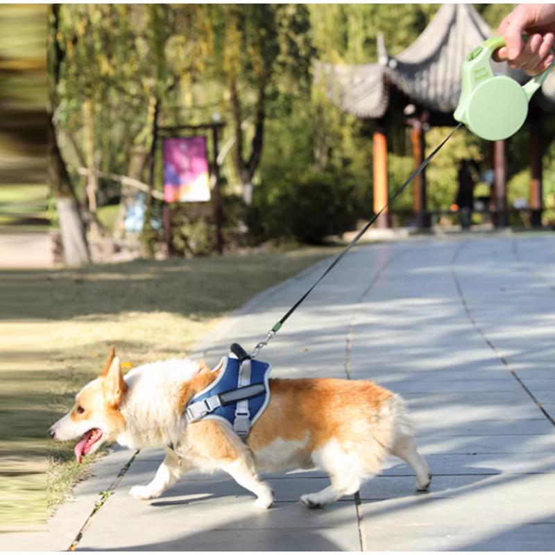 3m Automatische Einziehbare Hundeleine Handgehaltene Explosionsgeschützte Leine Für Kleine Mittlere Hunde Außenbereich