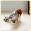 Yun Xiaoshi Pet Swinging Wing Cat Toy