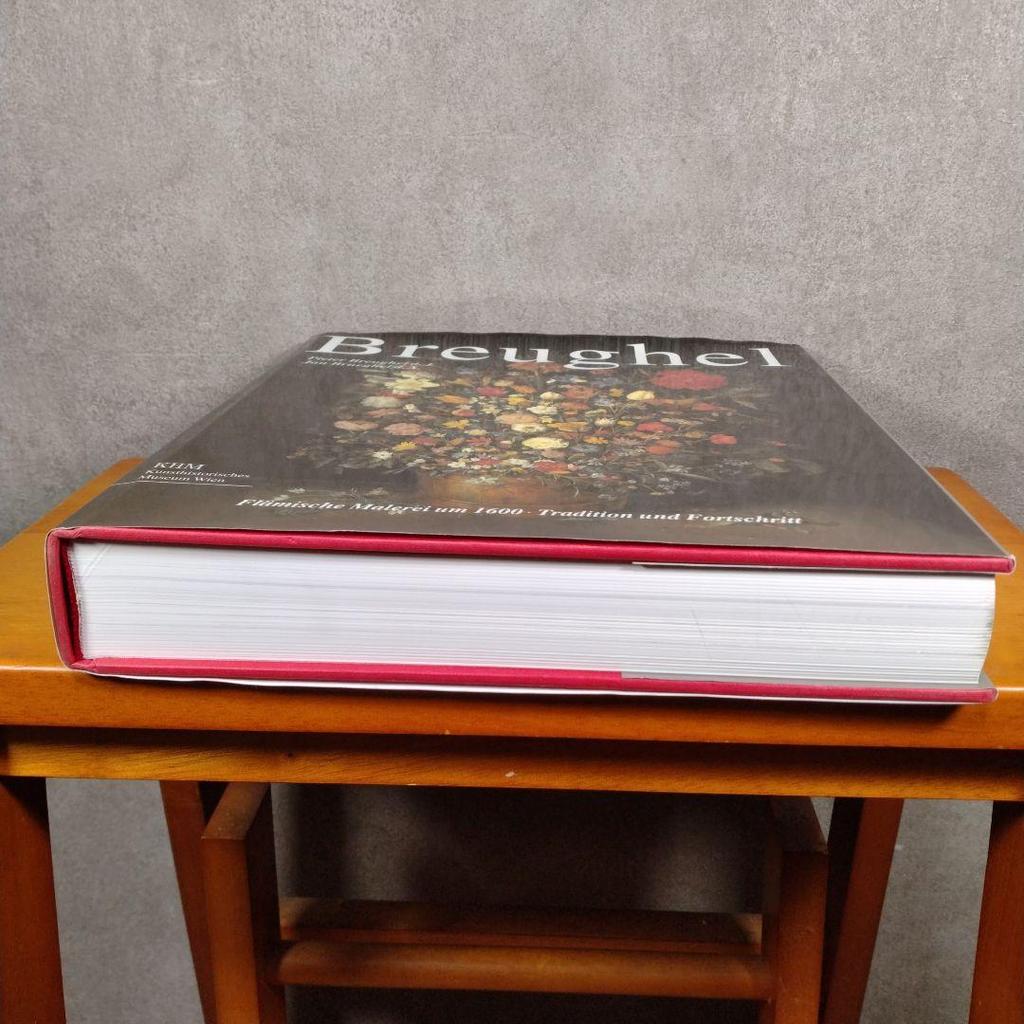 [USED] Pieter Breughel Books German Edition Art Arts