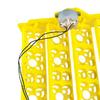 Advanced Egg Incubator Tray with Automatic Rotation Feature