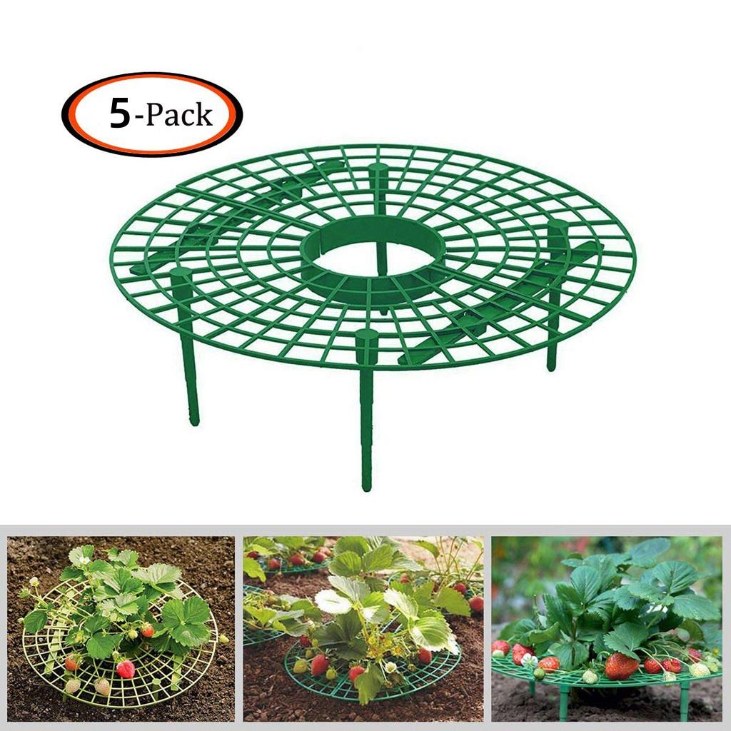 1-20 Pack Gardening Stand Strawberry Stand Frame Holder Balcony Planting Rack Fruit Support Plant Flower Climbing Vine Pillar