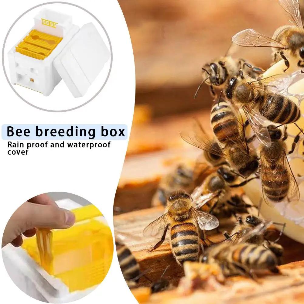 Beehive Beekeeping Box Tools For Beekeeper Supplies Bee Hive Frame Holder Equipment Kit Beehive Pollination King Bees Hive Box
