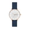 Hodinky Skagen RIIS SKW3090 Dámské Modré