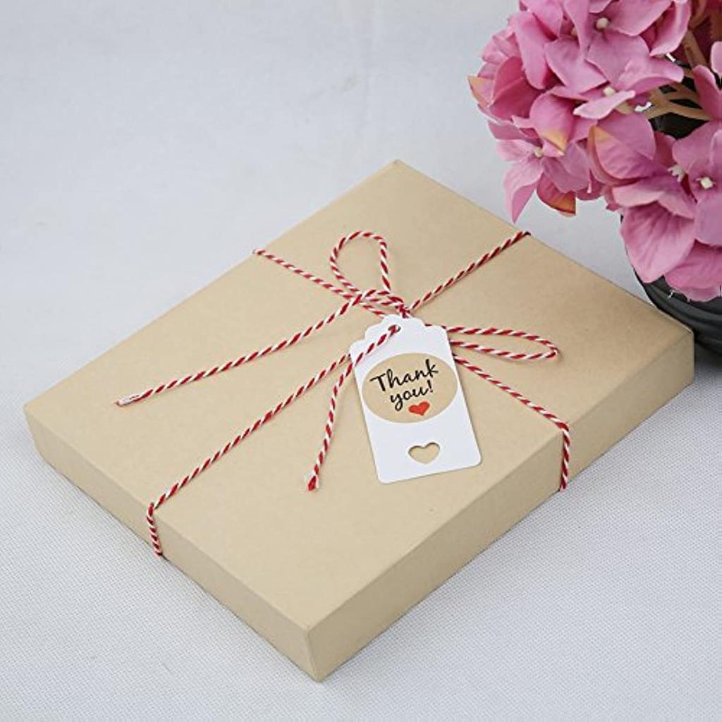 Spago Rosso e Bianco, 100/328 Piedi di Spago da Panettiere in Cotone, Spago di Natale, Spago di imballaggio per Fai da Te e Confezione Regalo, Corda