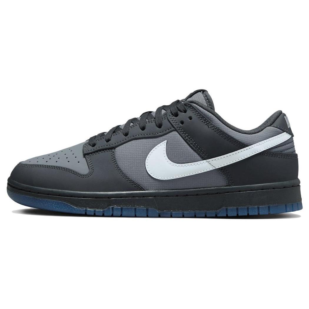 Nike Dunk Low Anthracite Men s FV0384-001 EU 40