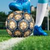 Winter Wildlife Emblem Round Football Size 5 Adult Ball Suitable for Training Matches and Outdoor Team.