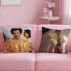 Federa Cuscino Artista Musicale Harry Styles Morbida e Facile da Lavare – Versatile Per Divano, Letto, Viaggio E Ufficio
