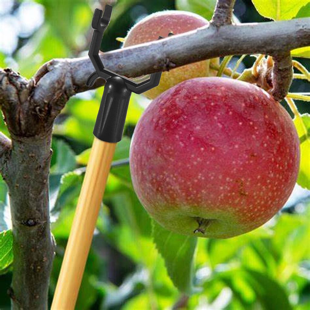 Kit di Supporto per Rami d'Albero in Lega Robusta per Alberi Giovani, Vigneti, Giardini, Bastone per Piante, Accessori da Giardino, Gabbie per Piante, 5 Pezzi