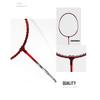 YZP Badminton Racket Set, Double Racket, Lightweight, Sturdy, Beginner, Carrying Bag Included, Adults, Children
