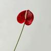Fiore Artificiale Anthurium Rosso Flamingo Stampato in 3D per Matrimoni e Arredamento Casa