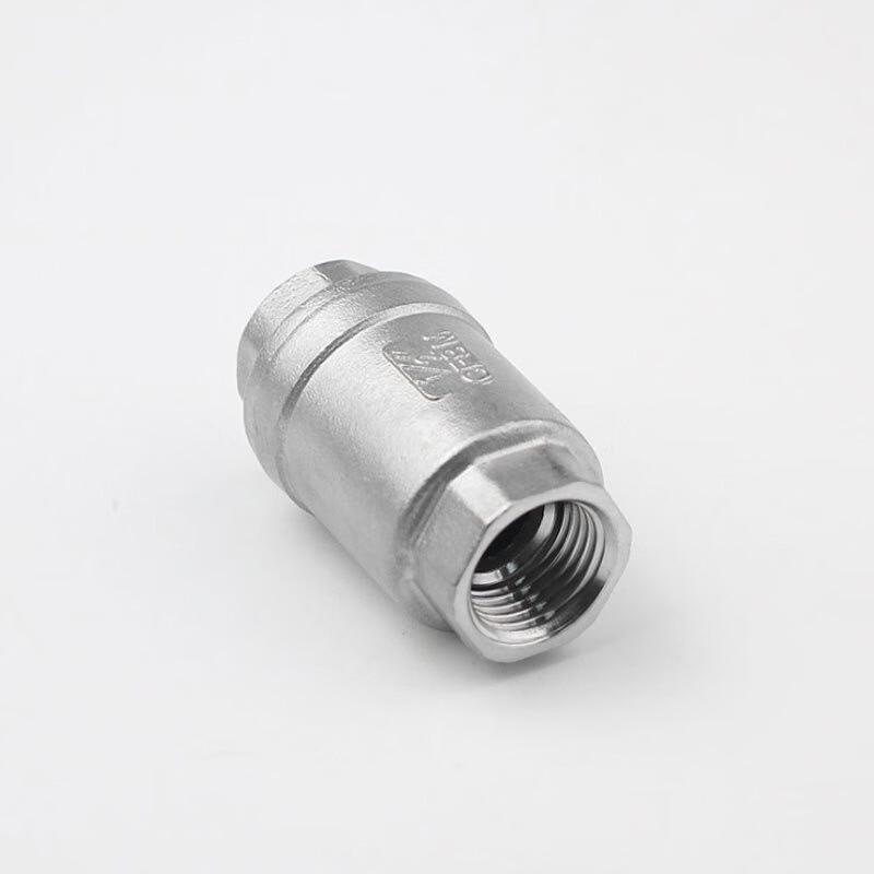 FURONGHUA 304 SS Vertical Threaded Spring Check Valve