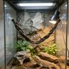 Hanging Swing Lizard Hammock Simulated Tree Vine Bird Climbing Swing  Reptile Tank Accessory