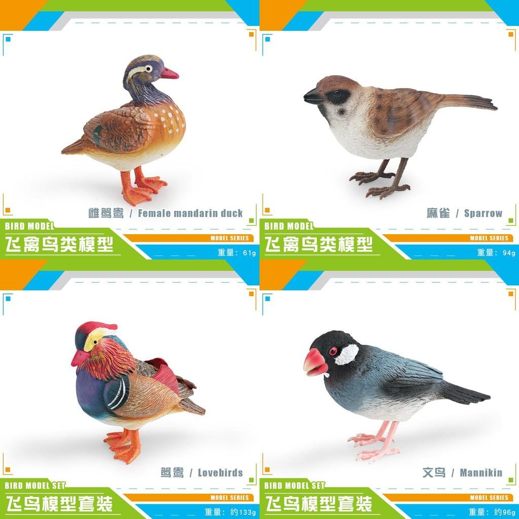 Realistisches dekoratives Tiermodell-Set mit farbenfroher Ente, Spatz, Fink und Meise zur Ausstellung zu Hause und im Büro