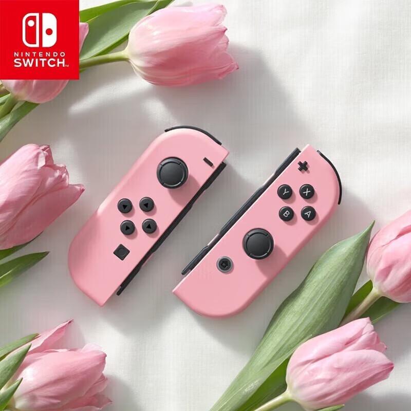 Nintendo Switch Joy-Con Controller (CN version)