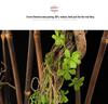 Artificial Green Plant Vines for Indoor Decoration - Forest Style Biomorphic Landscaping Tree Vines