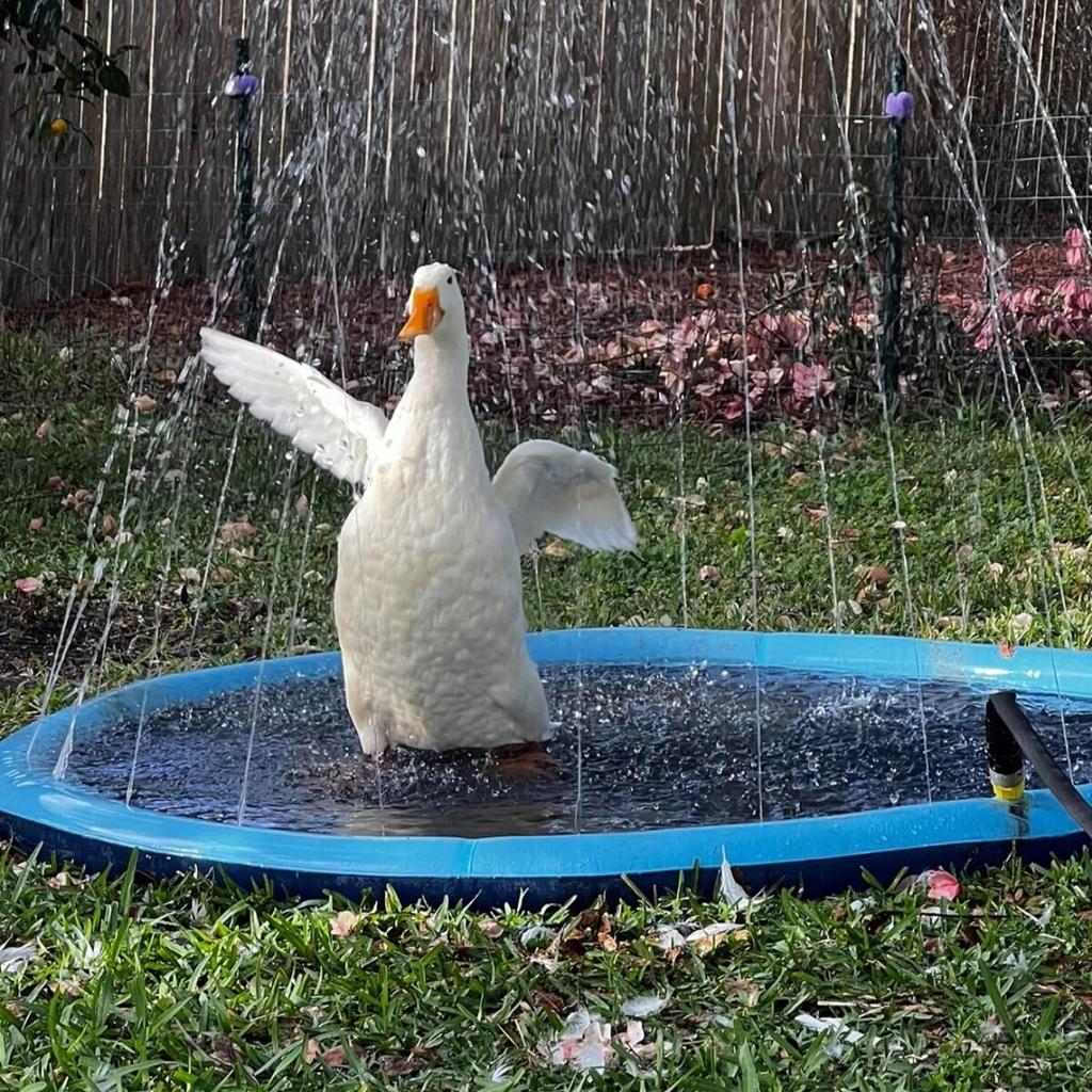 100/150/170 centimetri Estate Pet Sprinkler Pad Tappetino di Raffreddamento Piscina Gonfiabile Acqua Nebulizzata Pad Estate Fresco Cane Vasca Da Bagno per cani