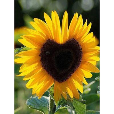5D DIY Diamond Painting Love Sunflower Diamond Embroidery Mosaic Cross Stitch Decoration Gift