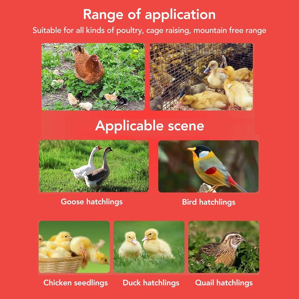 Horoper 2pcs Chick Feeder Quail Feeder and Waterer Kit Automatic Poultry Water Feeder Rotarys Sleeve Design Watering Poultry Feeder and Waterer Combo