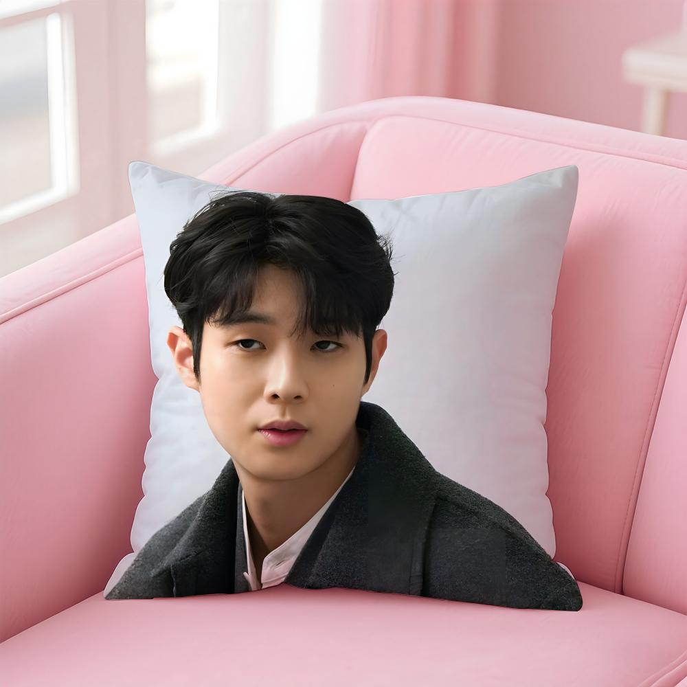Talented Korean Actor CChoi Wooshik Cushion Cover Pillowcase Short Plush Invisible Zipper Room Sofa Cushion Cover