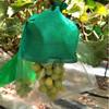 Biodegradable Grape Protection Bags: Rainproof, Insect-Proof, Bird-Proof, and Breathable