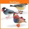 Realistic Decorative Animal Model Set Featuring Colorful Duck Sparrow Finch And Tit For Home And Office Display