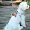Pet Poop Bags Holder Convenient Dogs Poop Bag for Outdoor Pet Walking Training