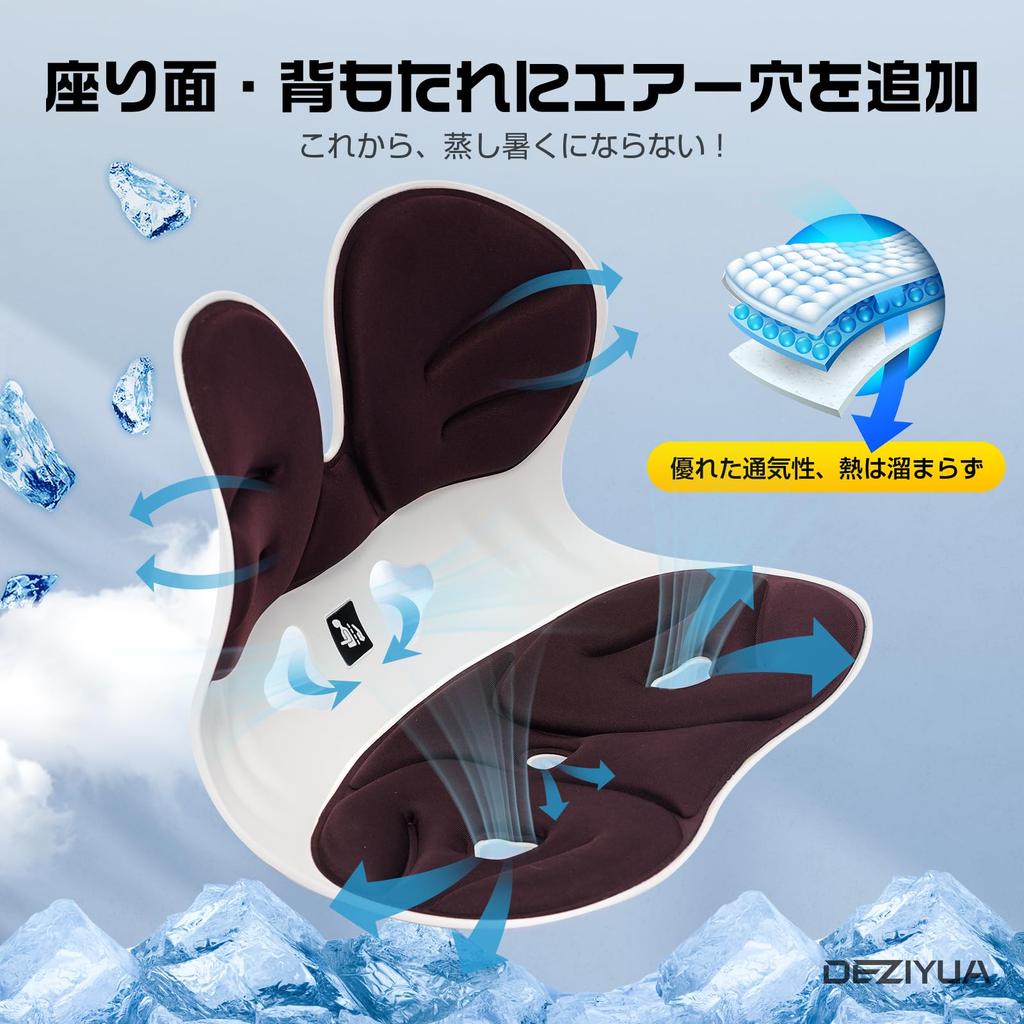 Red Dot Award Winning DEZIYUA 2nd Generation Posture Correction Chair Now Fully Balance Chair for Lower Back Pain by Chiropractors and Physical Load