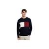 Knitwear Men's Crew Neck Moderate Other MW0MW25413