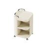 Lubang Xiong 2-Tier Plastic Rolling Storage Cart