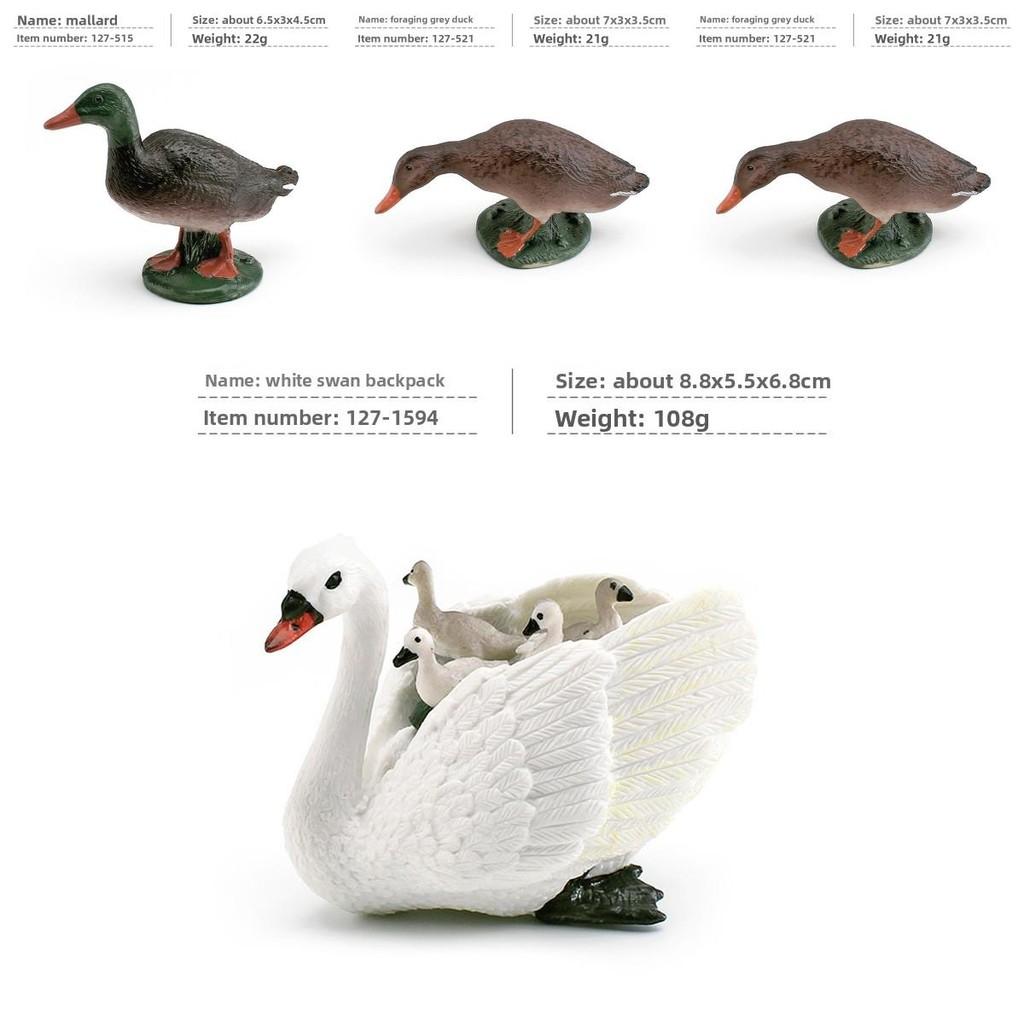 Tierfigur mit realistischen Plastikenten, Hahn, Schwänen für Bildungszwecke und zum Sammeln