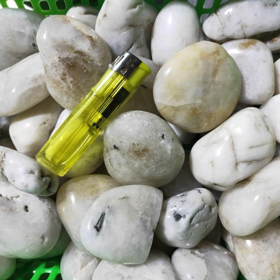 Polished White Natural Pebble Stones for Hydroponics, Fish Tanks, Landscaping, and Balcony Decor