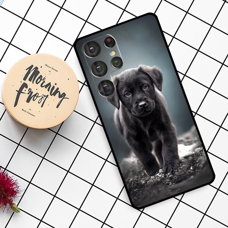 Schwarzer Labrador Hund Hülle Für Samsung Galaxy S24 FE S20 FE S21 S22 S23 S24 S25 Ultra S9 S10 S25 Plus Handyhülle