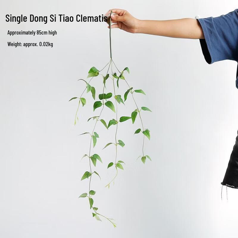 SEE KEAN Wall-Mounted Hydroponic Flower Vase