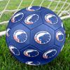 1pc Copenhagen Lion Crest Soccer Balls Standard Size 5 Machine-Sports League Outdoor Match Football Training Ball Futbol VoetbalY070819