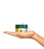 Biotique Bio Fruit Whitening Lip Balm, 12G And Biotique Bio Honey Gel Face Wash For All Skin Types, 100Ml