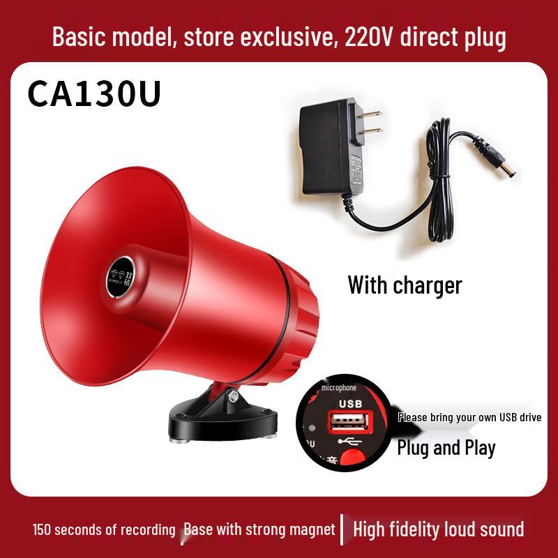 

Brangdy Portable Voice Amplifier with Recording