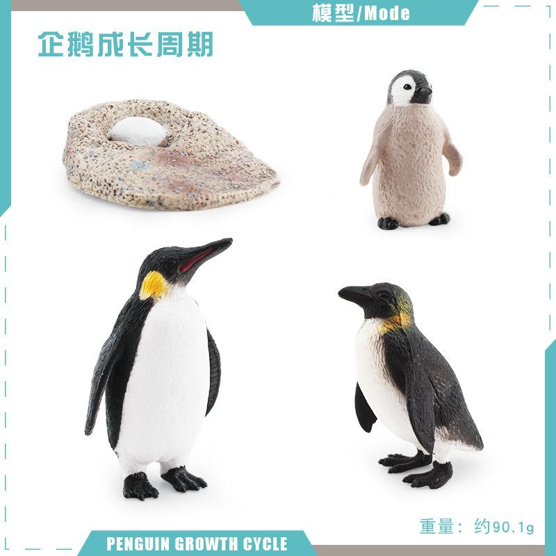

Simulation Of Penguin Growth Cycle Model Back Penguin Emperor Penguin Growth Process Static Tabletop Ornament