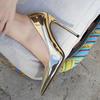 Ladies Stiletto Shoes Pointed Toe Sexy Catwalk Banquet 12cm Heel WZ