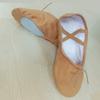 Ballet Dance Latin Dance Leather Canvas Girls Ballet Shoes Gils Shoes Flats Shoes Dance Shoes