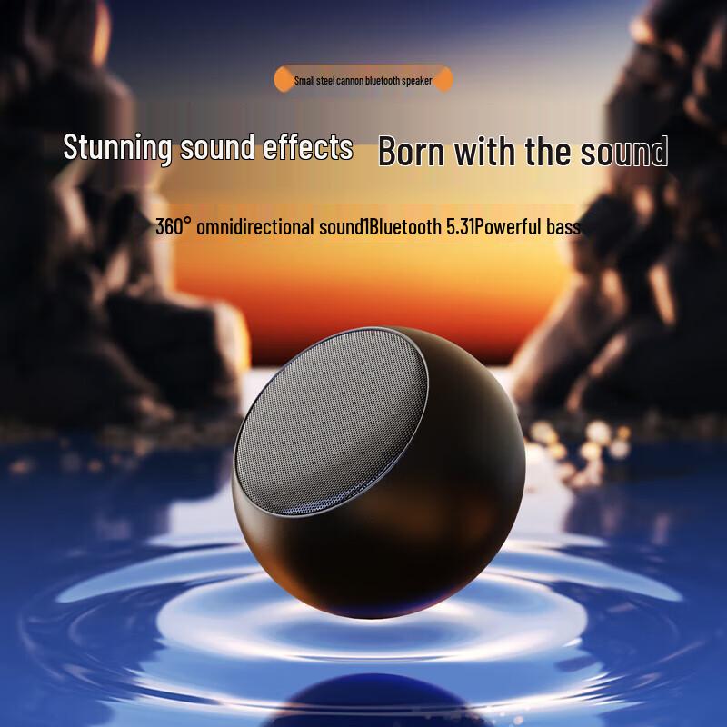 

Sayrelances DZ-017 Portable Bluetooth Subwoofer Speaker
