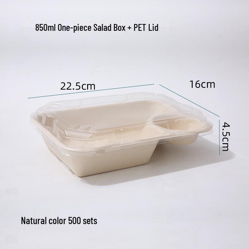 Eco-friendly Three-Compartment Disposable Bento Box – Microwaveable Paper Lunch Container for Salads and Light Meals