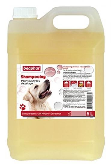 bubbles shampoo for dogs