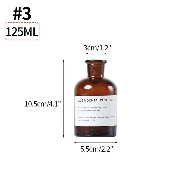 Ins Glass Flower Vase Transparent Dried Flower Hydroponic Terrarium Container Bottle Clear Plant Bottles Home Desktop Decor